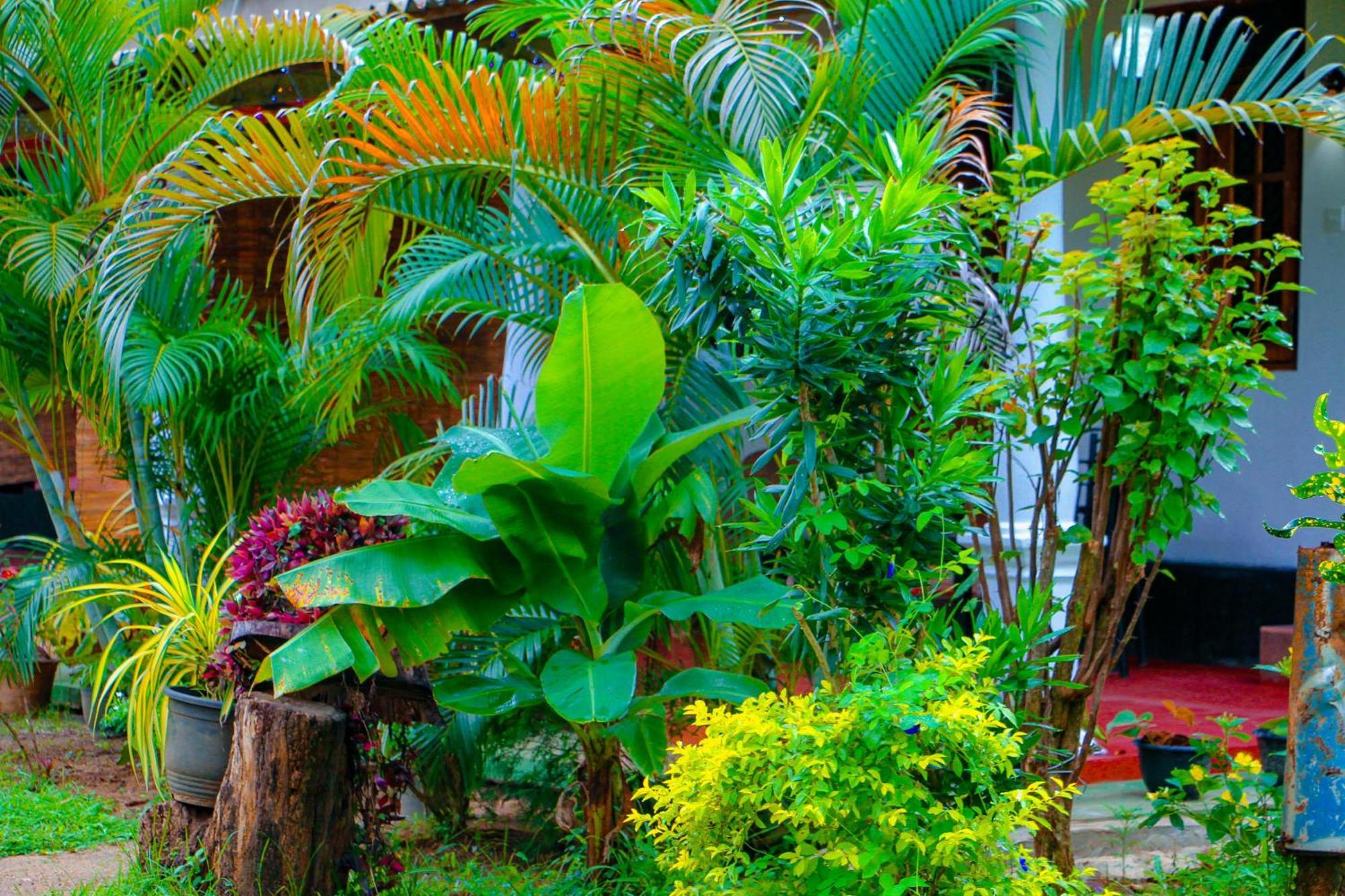 Chanaka Holiday Inn Sigiriya Exterior foto